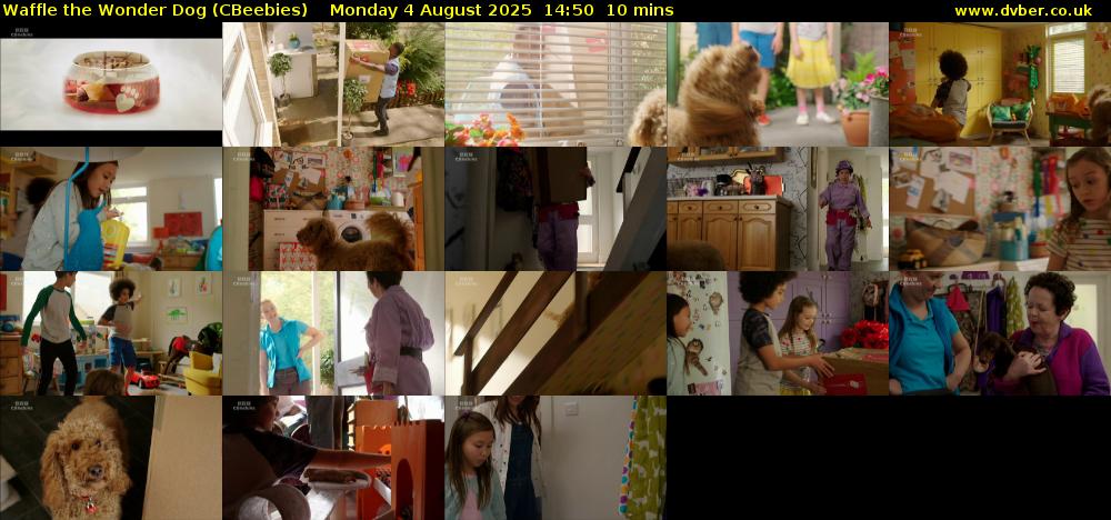 Waffle the Wonder Dog (CBeebies) Monday 4 August 2025 14:50 - 15:00