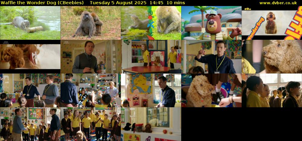 Waffle the Wonder Dog (CBeebies) Tuesday 5 August 2025 14:45 - 14:55
