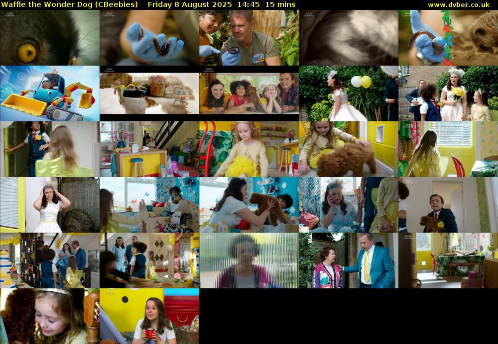 Waffle the Wonder Dog (CBeebies) Friday 8 August 2025 14:45 - 15:00