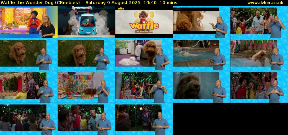Waffle the Wonder Dog (CBeebies) Saturday 9 August 2025 14:40 - 14:50