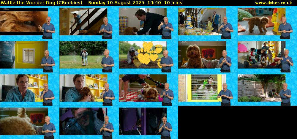 Waffle the Wonder Dog (CBeebies) Sunday 10 August 2025 14:40 - 14:50