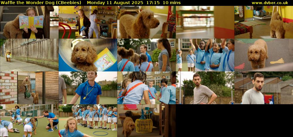 Waffle the Wonder Dog (CBeebies) Monday 11 August 2025 17:15 - 17:25