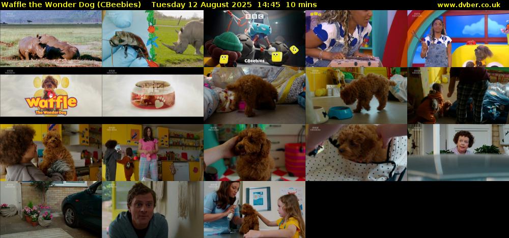 Waffle the Wonder Dog (CBeebies) Tuesday 12 August 2025 14:45 - 14:55