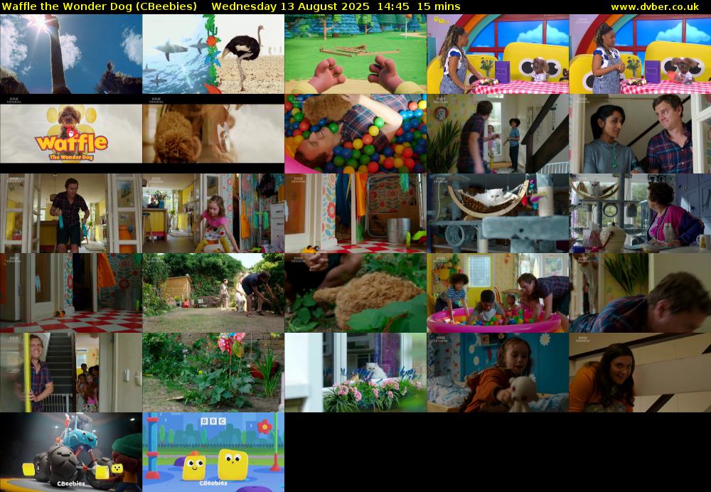 Waffle the Wonder Dog (CBeebies) Wednesday 13 August 2025 14:45 - 15:00