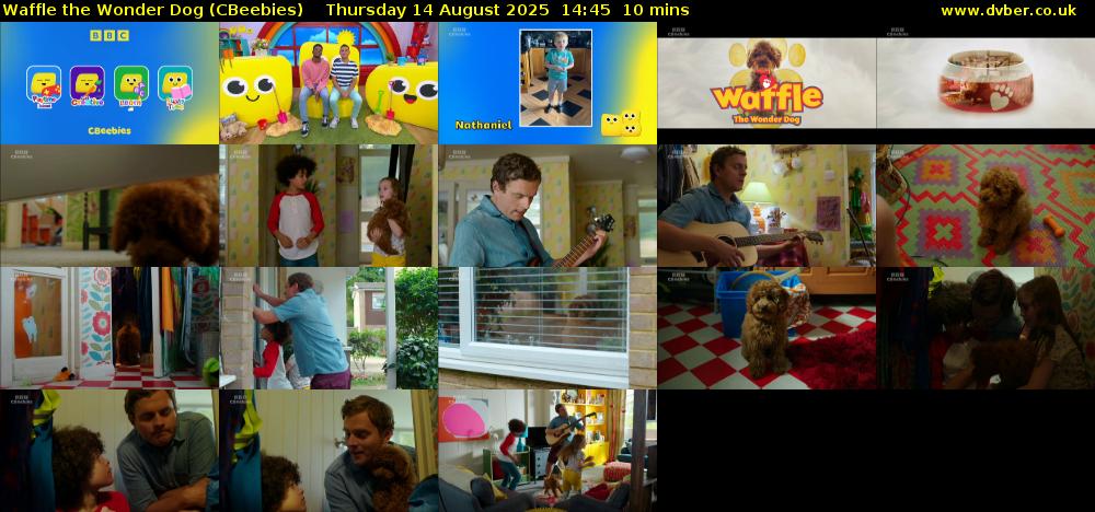 Waffle the Wonder Dog (CBeebies) Thursday 14 August 2025 14:45 - 14:55