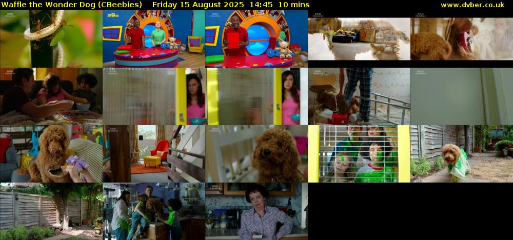 Waffle the Wonder Dog (CBeebies) Friday 15 August 2025 14:45 - 14:55
