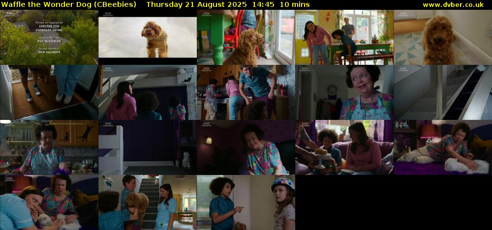 Waffle the Wonder Dog (CBeebies) Thursday 21 August 2025 14:45 - 14:55