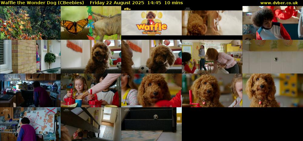 Waffle the Wonder Dog (CBeebies) Friday 22 August 2025 14:45 - 14:55