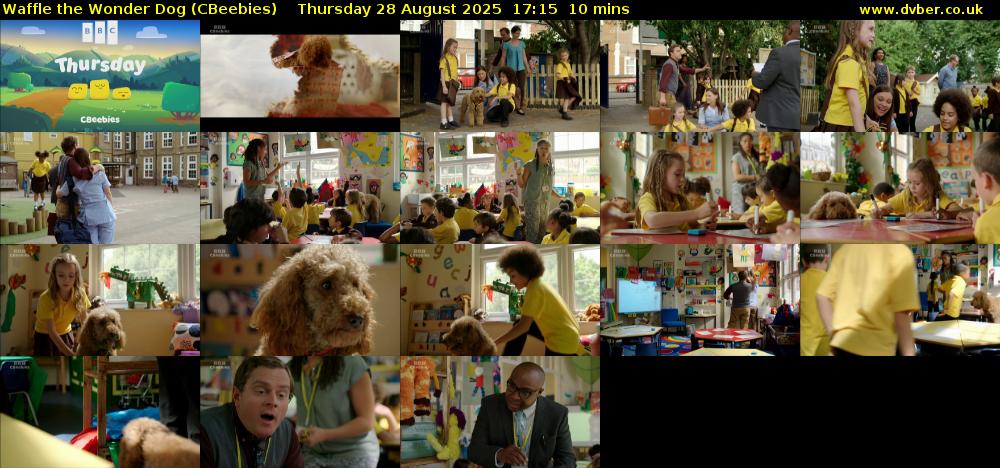 Waffle the Wonder Dog (CBeebies) Thursday 28 August 2025 17:15 - 17:25