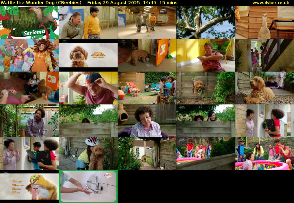 Waffle the Wonder Dog (CBeebies) Friday 29 August 2025 14:45 - 15:00