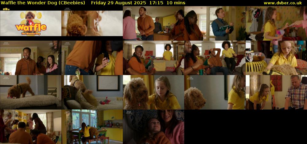 Waffle the Wonder Dog (CBeebies) Friday 29 August 2025 17:15 - 17:25