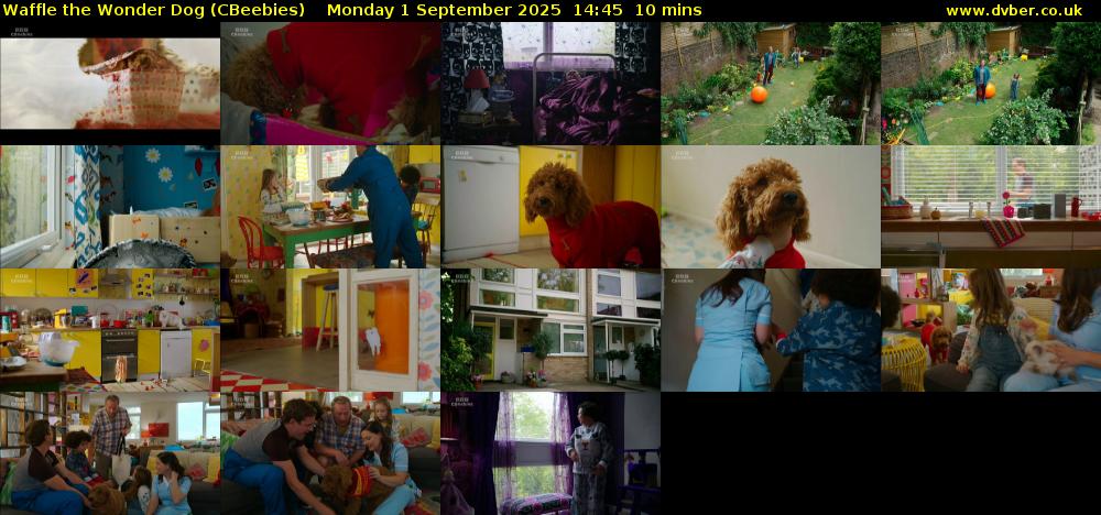 Waffle the Wonder Dog (CBeebies) Monday 1 September 2025 14:45 - 14:55