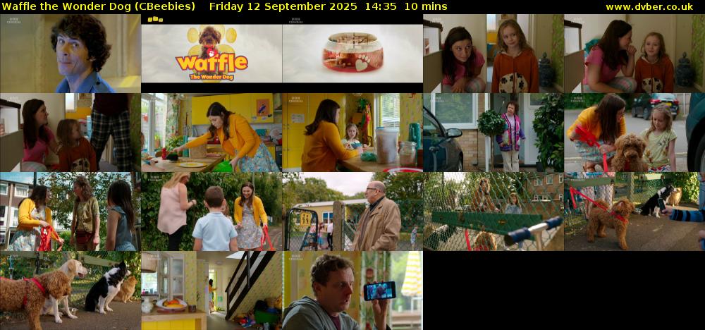 Waffle the Wonder Dog (CBeebies) Friday 12 September 2025 14:35 - 14:45
