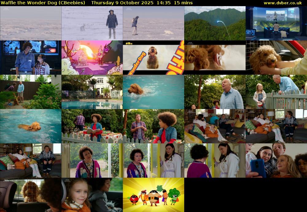 Waffle the Wonder Dog (CBeebies) Thursday 9 October 2025 14:35 - 14:50