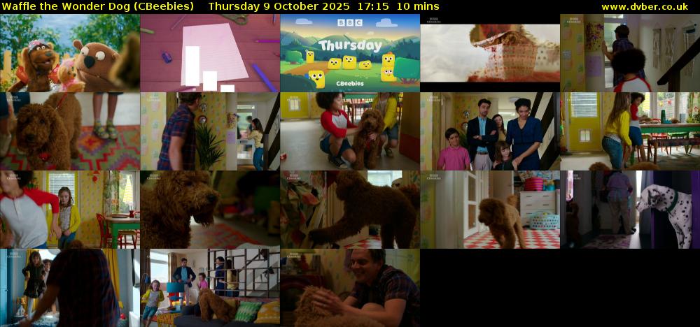 Waffle the Wonder Dog (CBeebies) Thursday 9 October 2025 17:15 - 17:25
