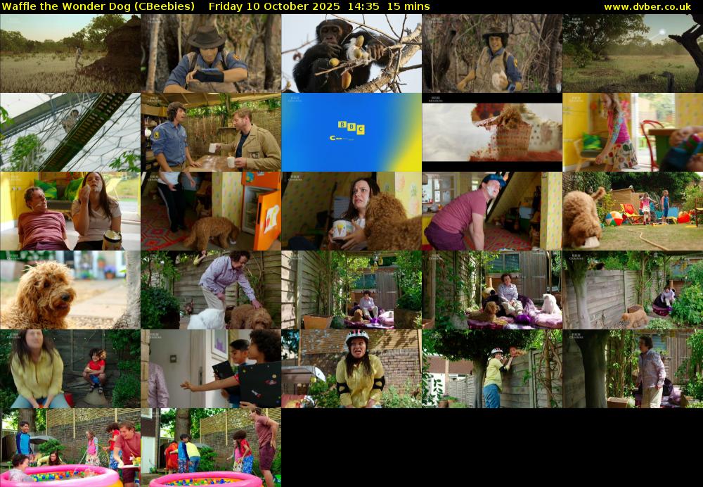 Waffle the Wonder Dog (CBeebies) Friday 10 October 2025 14:35 - 14:50