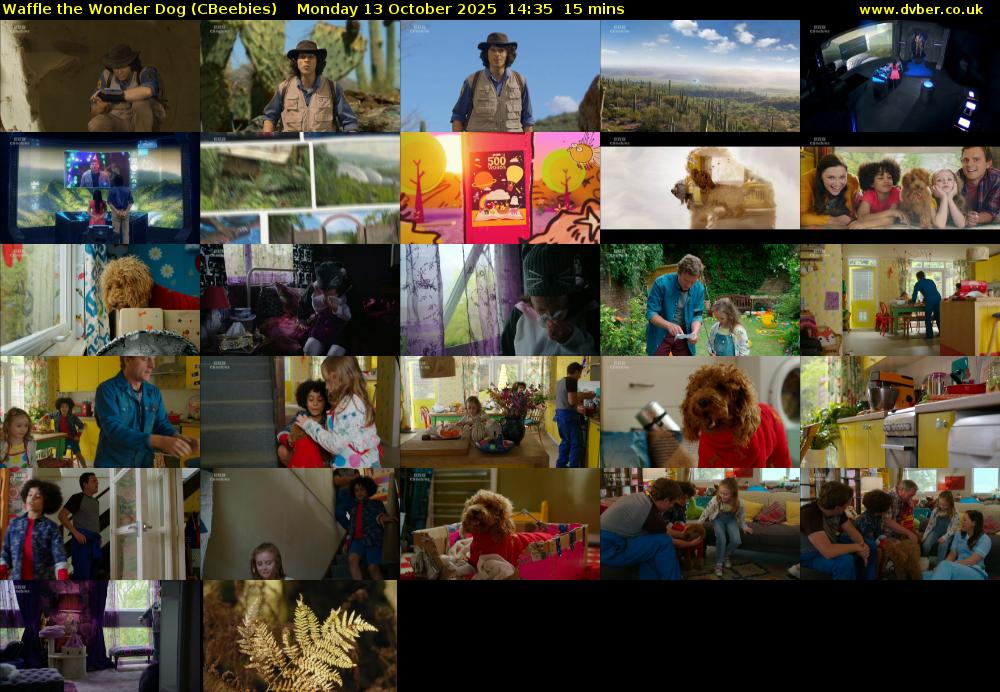 Waffle the Wonder Dog (CBeebies) Monday 13 October 2025 14:35 - 14:50