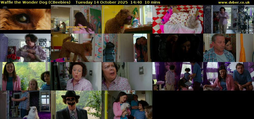 Waffle the Wonder Dog (CBeebies) Tuesday 14 October 2025 14:40 - 14:50