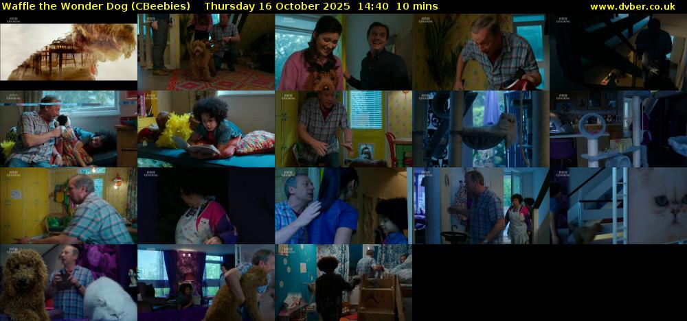 Waffle the Wonder Dog (CBeebies) Thursday 16 October 2025 14:40 - 14:50