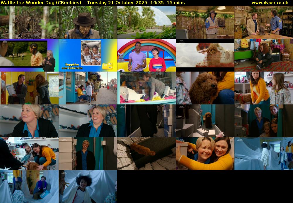 Waffle the Wonder Dog (CBeebies) Tuesday 21 October 2025 14:35 - 14:50