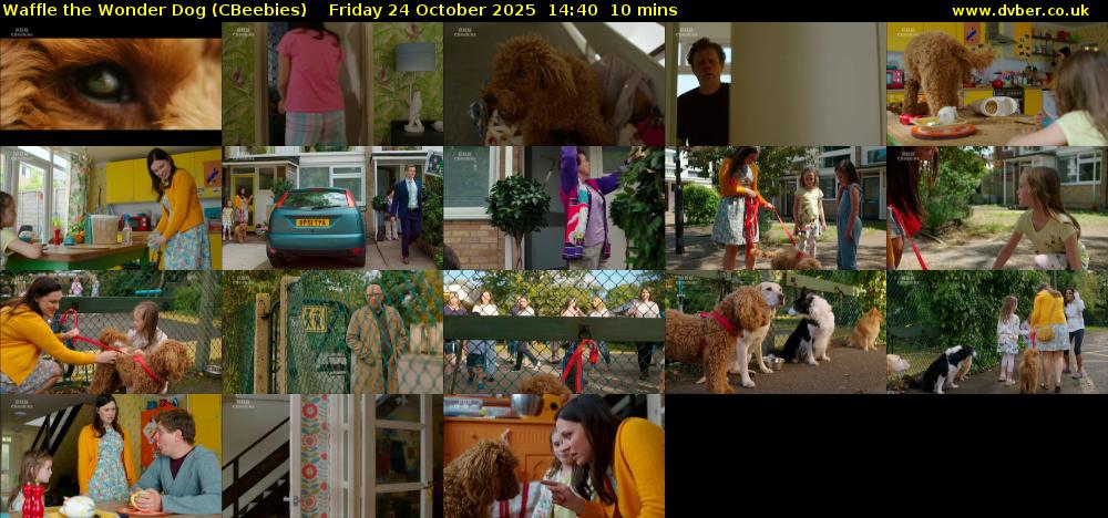 Waffle the Wonder Dog (CBeebies) Friday 24 October 2025 14:40 - 14:50