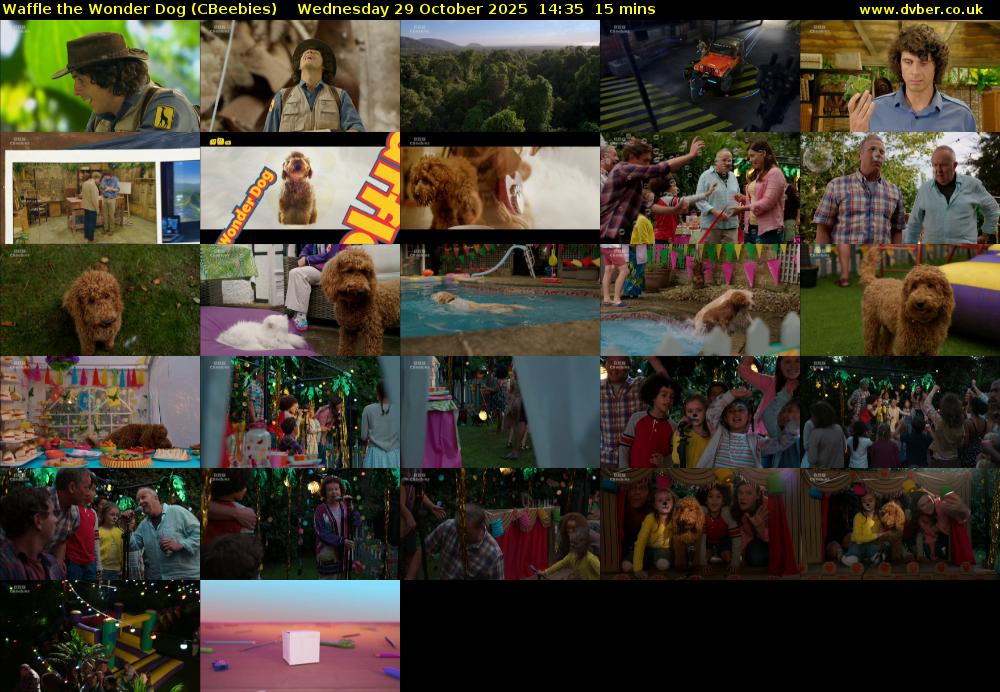 Waffle the Wonder Dog (CBeebies) Wednesday 29 October 2025 14:35 - 14:50