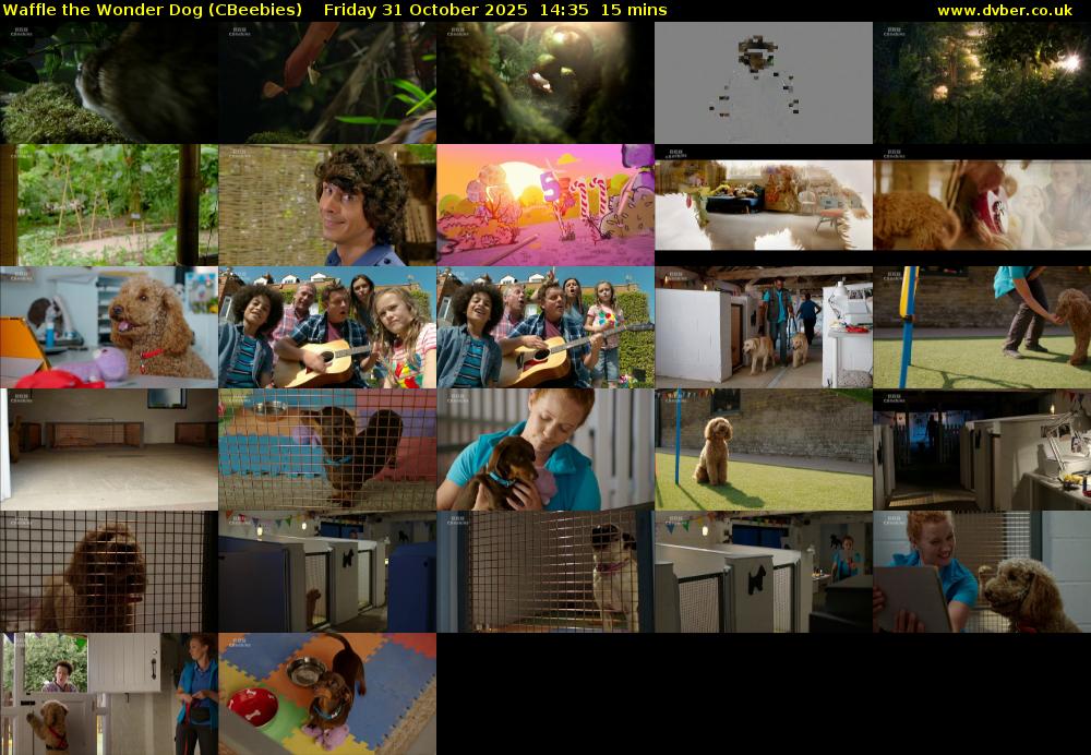 Waffle the Wonder Dog (CBeebies) Friday 31 October 2025 14:35 - 14:50