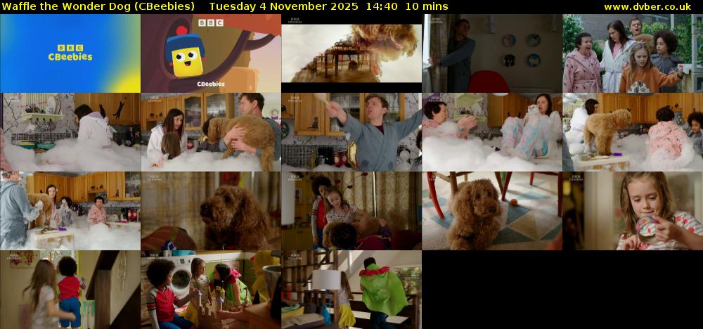 Waffle the Wonder Dog (CBeebies) Tuesday 4 November 2025 14:40 - 14:50