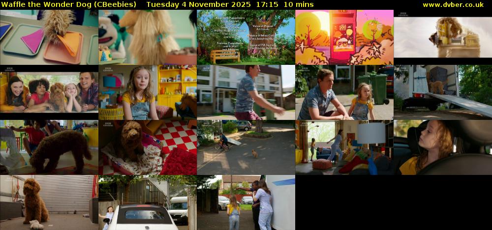 Waffle the Wonder Dog (CBeebies) Tuesday 4 November 2025 17:15 - 17:25