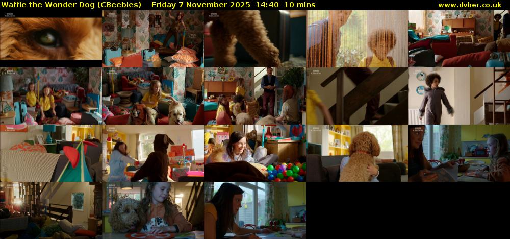 Waffle the Wonder Dog (CBeebies) Friday 7 November 2025 14:40 - 14:50