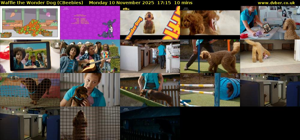 Waffle the Wonder Dog (CBeebies) Monday 10 November 2025 17:15 - 17:25