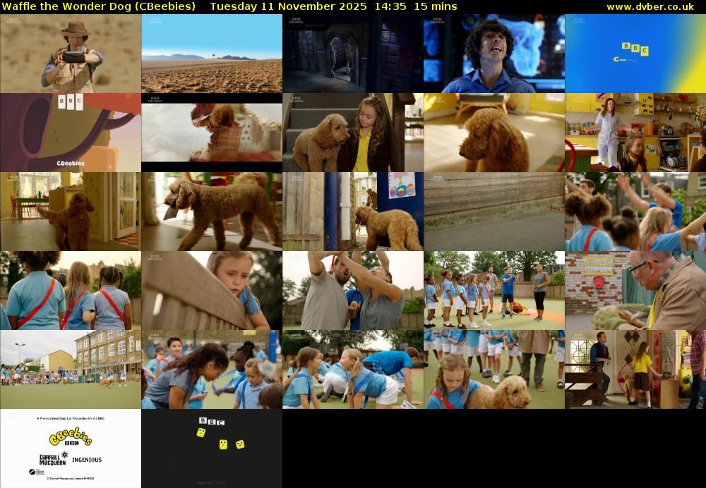 Waffle the Wonder Dog (CBeebies) Tuesday 11 November 2025 14:35 - 14:50