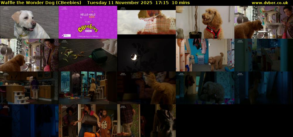 Waffle the Wonder Dog (CBeebies) Tuesday 11 November 2025 17:15 - 17:25