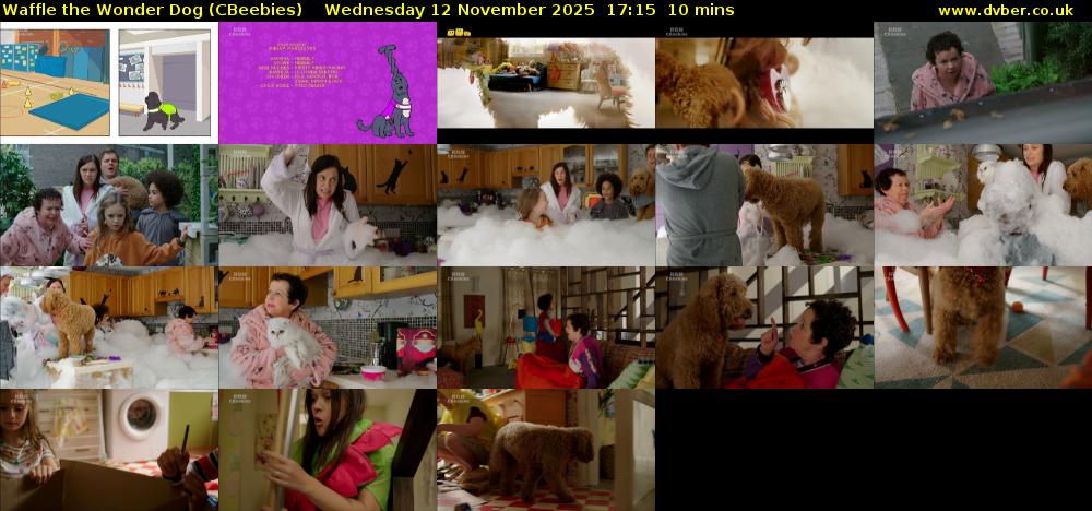 Waffle the Wonder Dog (CBeebies) Wednesday 12 November 2025 17:15 - 17:25