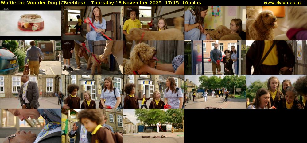 Waffle the Wonder Dog (CBeebies) Thursday 13 November 2025 17:15 - 17:25