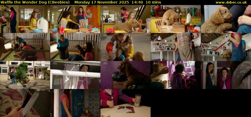 Waffle the Wonder Dog (CBeebies) Monday 17 November 2025 14:40 - 14:50