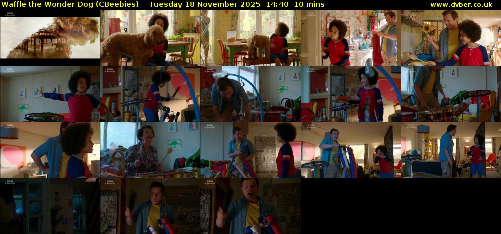 Waffle the Wonder Dog (CBeebies) Tuesday 18 November 2025 14:40 - 14:50