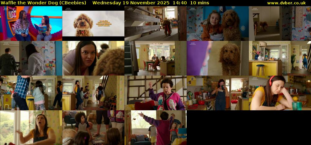 Waffle the Wonder Dog (CBeebies) Wednesday 19 November 2025 14:40 - 14:50