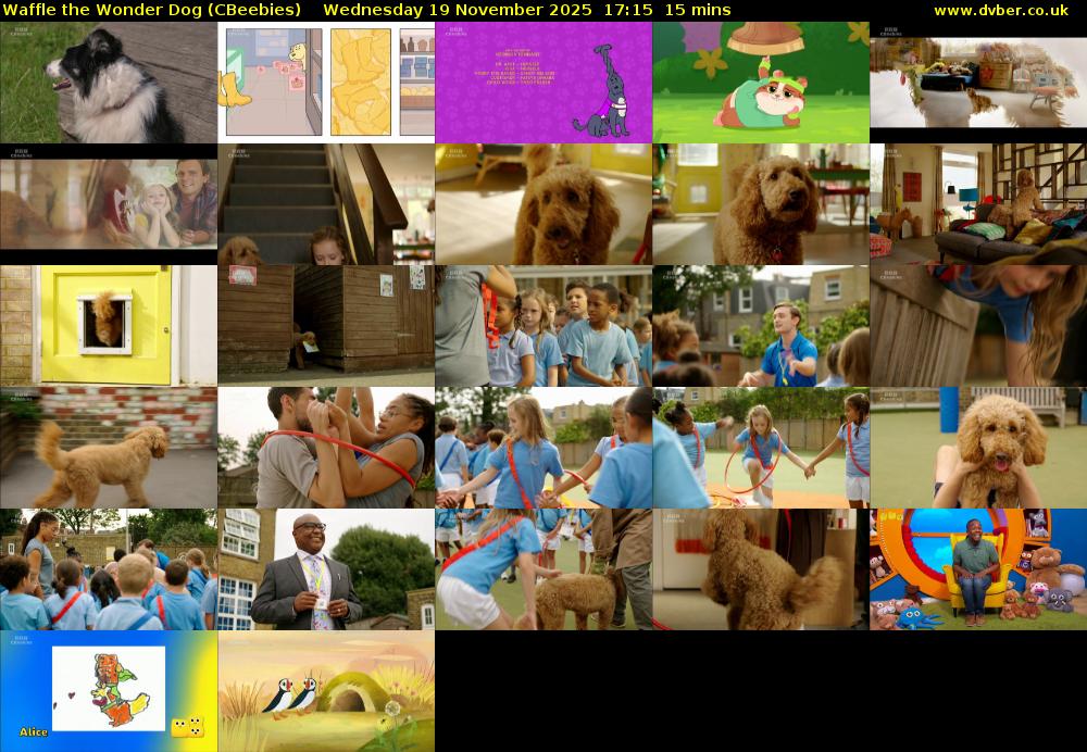 Waffle the Wonder Dog (CBeebies) Wednesday 19 November 2025 17:15 - 17:30