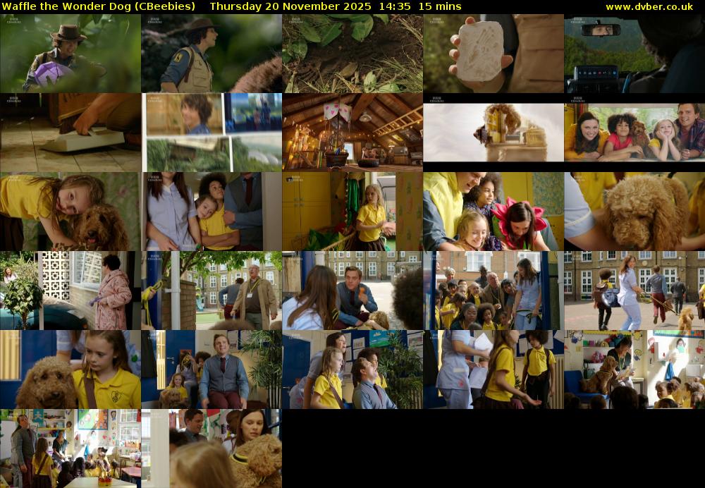 Waffle the Wonder Dog (CBeebies) Thursday 20 November 2025 14:35 - 14:50
