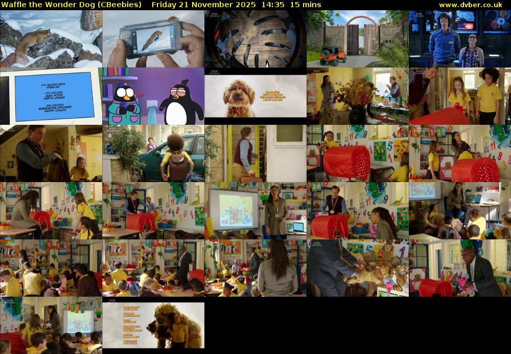 Waffle the Wonder Dog (CBeebies) Friday 21 November 2025 14:35 - 14:50