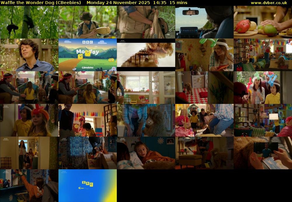 Waffle the Wonder Dog (CBeebies) Monday 24 November 2025 14:35 - 14:50