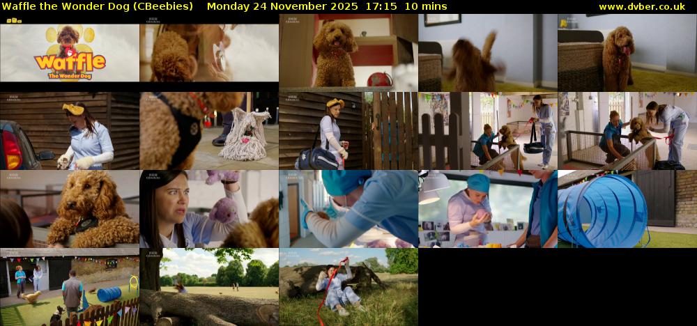 Waffle the Wonder Dog (CBeebies) Monday 24 November 2025 17:15 - 17:25