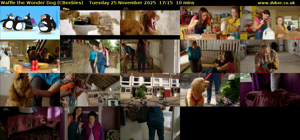 Waffle the Wonder Dog (CBeebies) Tuesday 25 November 2025 17:15 - 17:25
