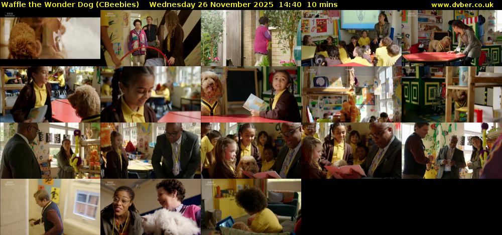 Waffle the Wonder Dog (CBeebies) Wednesday 26 November 2025 14:40 - 14:50
