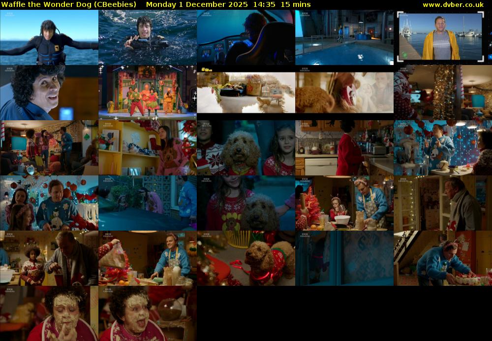 Waffle the Wonder Dog (CBeebies) Monday 1 December 2025 14:35 - 14:50