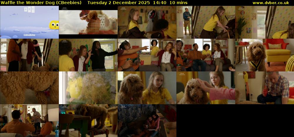 Waffle the Wonder Dog (CBeebies) Tuesday 2 December 2025 14:40 - 14:50