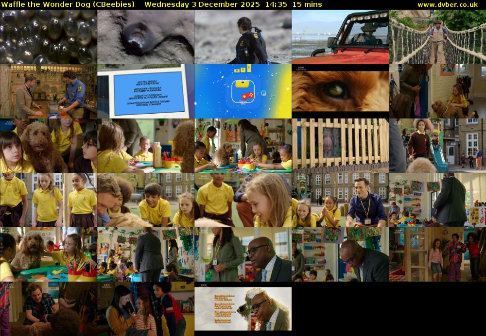 Waffle the Wonder Dog (CBeebies) Wednesday 3 December 2025 14:35 - 14:50