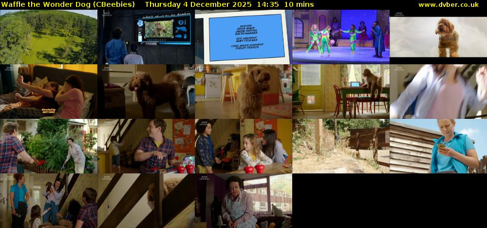 Waffle the Wonder Dog (CBeebies) Thursday 4 December 2025 14:35 - 14:45