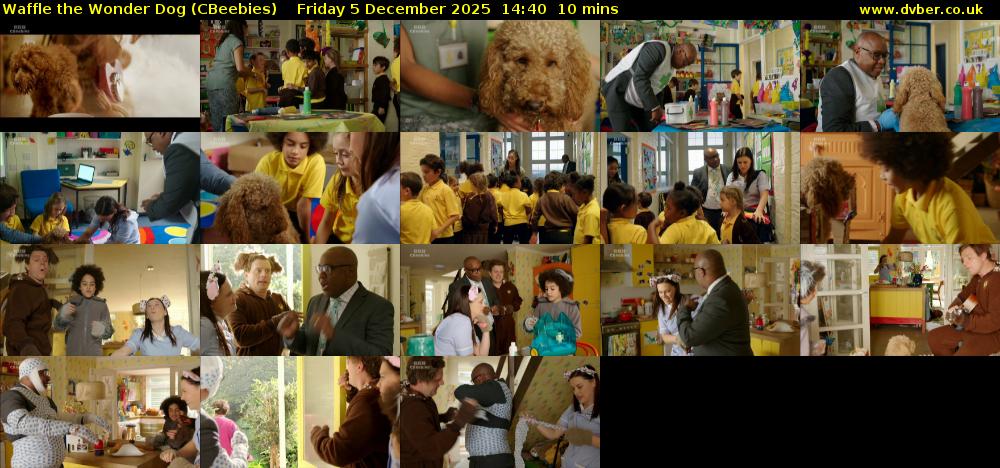 Waffle the Wonder Dog (CBeebies) Friday 5 December 2025 14:40 - 14:50